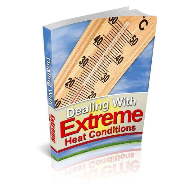 Dealing-With-Extreme-Heat-Conditions.jpg